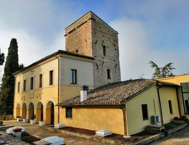 struttura principale 3
