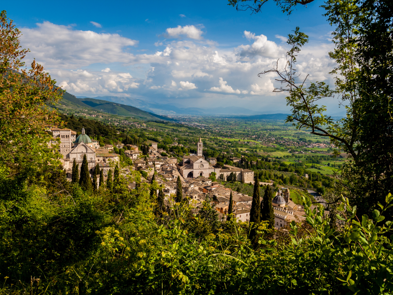 assisi