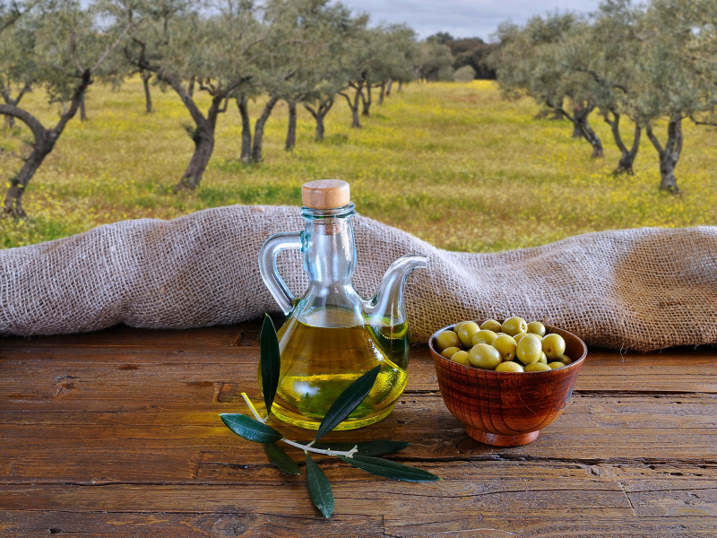 produzione olio (1)
