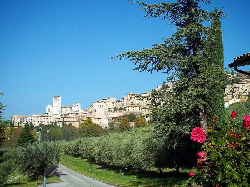 vista su Assisi 1